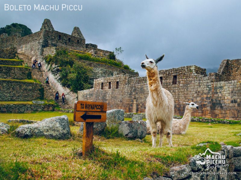 Boleto de Ingreso Sólo Machu Picchu (Adulto Comunidad Andina)